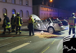 Einsatz Verkehrsunfall Mannheimer Straße