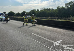 2024 09 02 VU BAB659 01