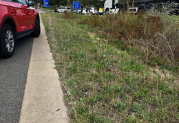 2024 09 02 VU BAB659 15