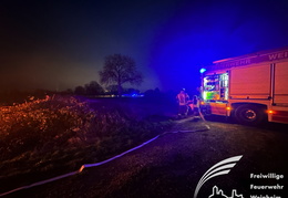 2024 12 01 Brand Felder 03