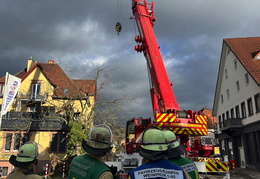 2025 01 07 Baum auf Gebaeude 14