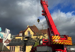 2025 01 07 Baum auf Gebaeude 10