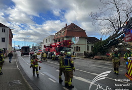 2025 01 07 Baum auf Gebaeude 05