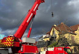 2025 01 07 Baum auf Gebaeude 11