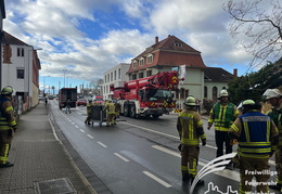 2025 01 07 Baum auf Gebaeude 07