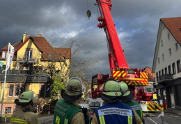 2025 01 07 Baum auf Gebaeude 13