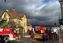 2025 01 07 Baum auf Gebaeude 12