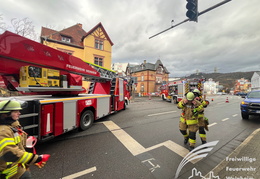 2025 01 07 Baum auf Gebaeude 06