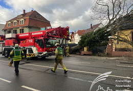 2025 01 07 Baum auf Gebaeude 09