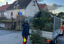 2025 01 Christbaumaktionen 03