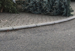 2025 01 Christbaumaktionen 04