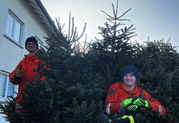 2025 01 Christbaumaktionen 05