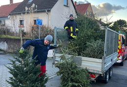 2025 01 Christbaumaktionen 07