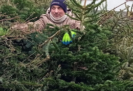 2025 01 Christbaumaktionen 09