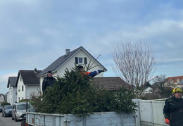 2025 01 Christbaumaktionen 101