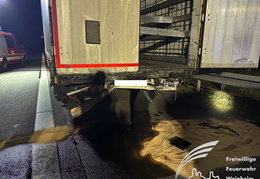 2025 02 04 VU BAB5 11