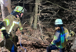 2025 03 28 Ausbildungsgruppe copy copy copy copy copy copy copy copy copy copy copy copy copy copy copy copy copy copy copy copy copy copy copy copy copy copy copy copy copy copy copy copy copy copy copy copy copy copy copy copy copy copy