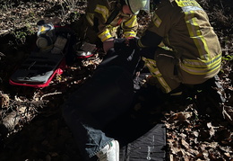 2025 03 28 Ausbildungsgruppe copy copy copy copy copy copy copy copy copy copy copy copy copy copy copy copy copy copy copy copy copy copy copy copy copy copy copy copy copy