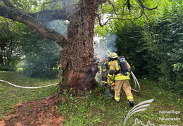 Einsatz brennender Baum