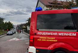 Sulzbach Kerweumzug