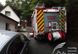 2025 08 03 Baum auf Garage 5