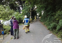 2025 08 03 Baum auf Garage 6