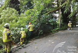2025 08 03 Baum auf Garage 8