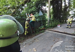 2025 08 03 Baum auf Garage 12