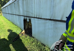 2025 08 08 Gartenhaus 2