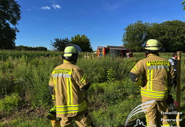 2025 08 08 Gartenhaus 12