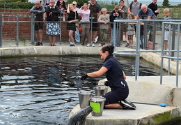 2025 08 07 Dänemark 11