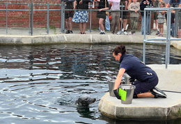 2025 08 07 Dänemark 10