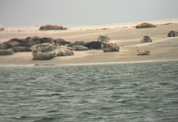 2025 08 07 Dänemark 108