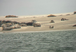 2025 08 07 Dänemark 109