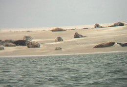 2025 08 07 Dänemark 110