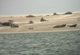 2025 08 07 Dänemark 111