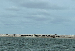 2025 08 07 Dänemark 107