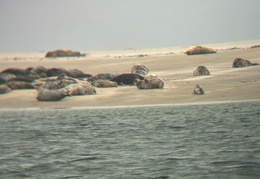 2025 08 07 Dänemark 113