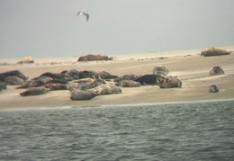 2025 08 07 Dänemark 112