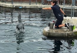 2025 08 07 Dänemark 101