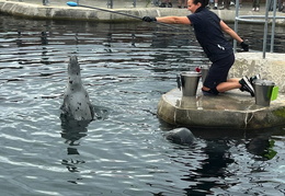 2025 08 07 Dänemark 100