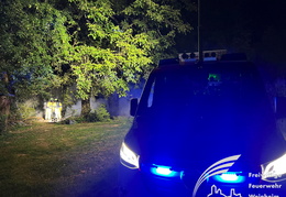 2025 08 24 Gartenbrand 44