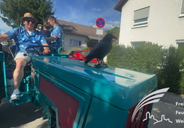 Spielmannszug Kerwe Laudenbach